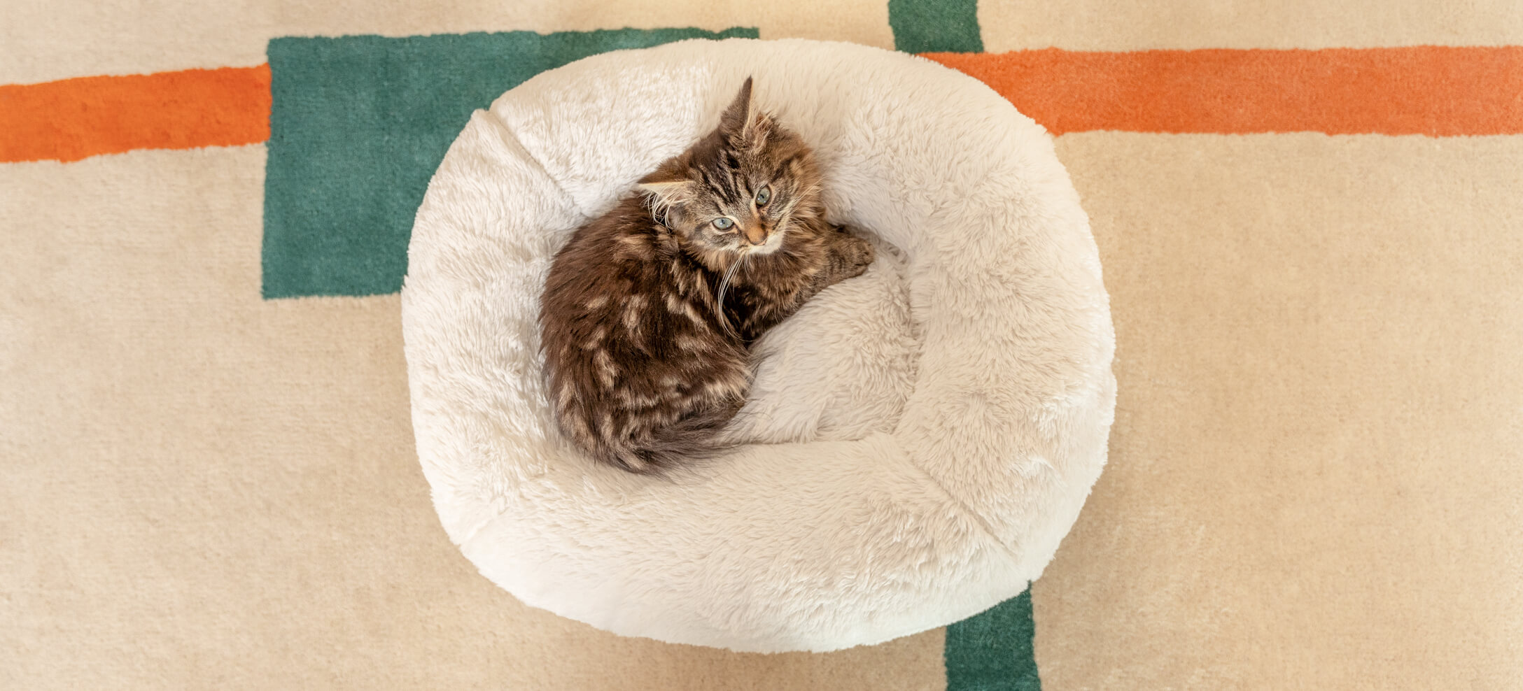 Chat recroquevillé sur le panier pour chat Maya Donut d’Omlet