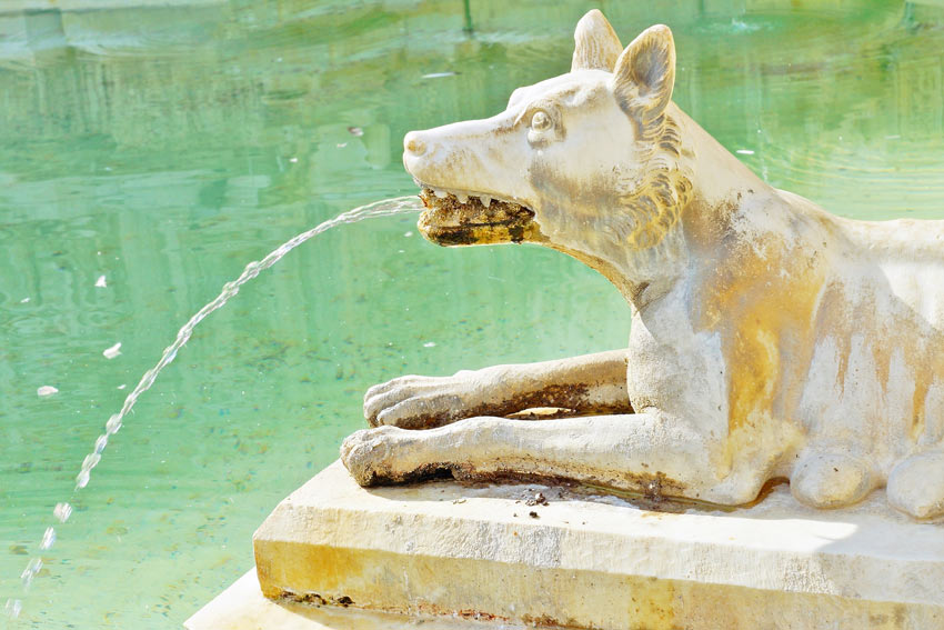 A Renaissance Fountain