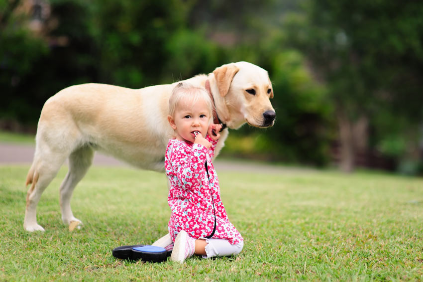 A young girl outside with her Labrador