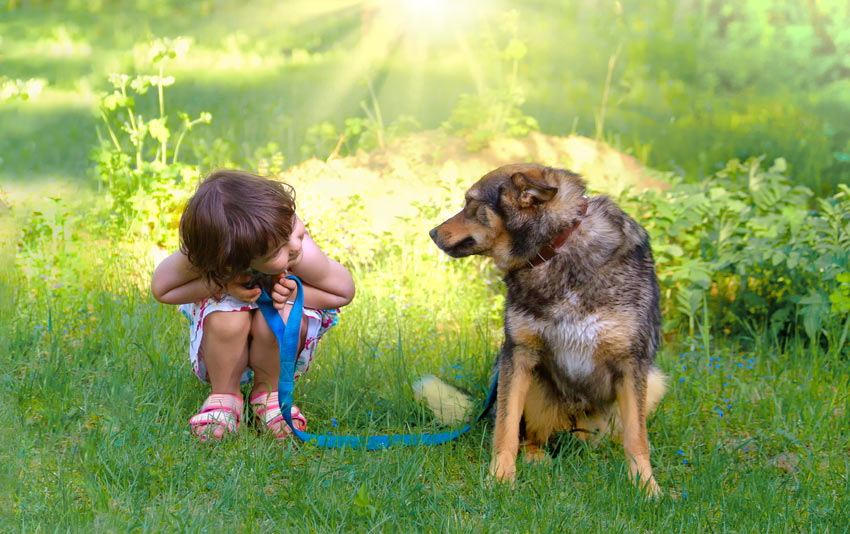 A young girl taking her dog for a walk