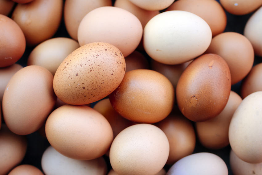 Assorted chicken eggs
