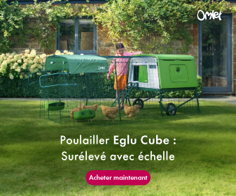 Poulailler Eglu Cube