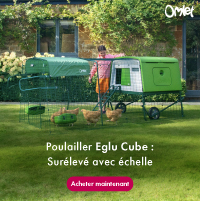 Poulailler Eglu Cube