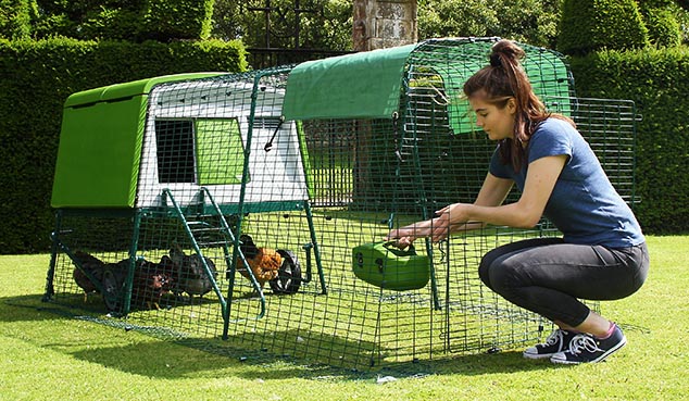 Ouvrez la porte de l'enclos du poulailler en plastique eglu cube pour remplir la mangeoire et l'abreuvoir de vos poules