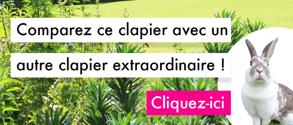 clapier_exterieur_eglu_go_pour_lapins_et_cochons_d_indes/