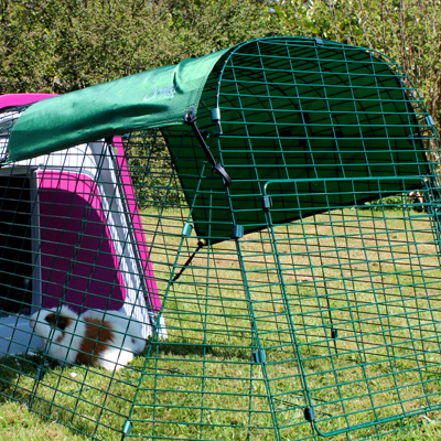 Un clapier pour cochon d'Inde parfait dans chaque jardin