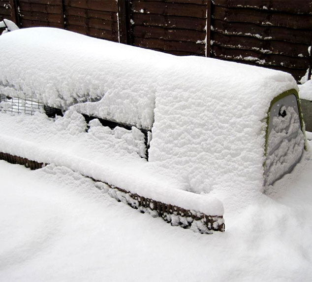 Le poulailler Eglu Go recouvert de neige.