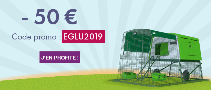 January Eglu Offer