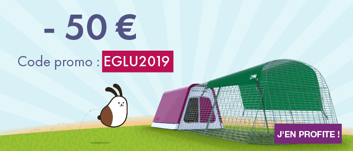 January Eglu Promotion