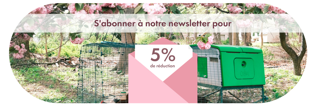 Newsletter Sign Up