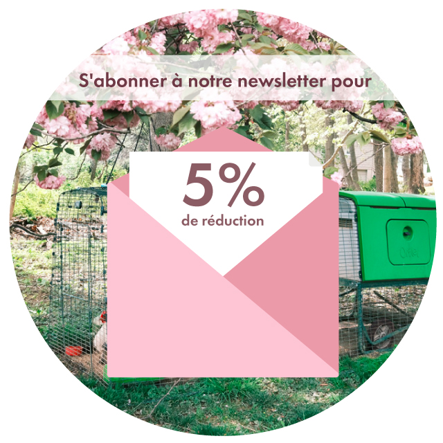 Newsletter Sign Up