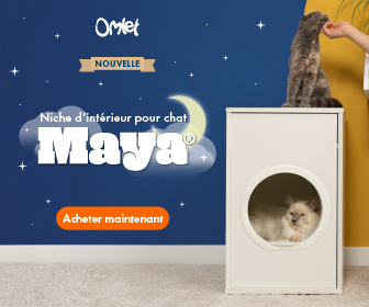 Niche d’intérieur pour chat Maya
