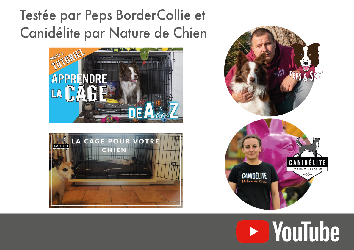  FR-Peps-and-scot-Canidelite-Par-Nature-De-Chien-banner-V02.jpg  