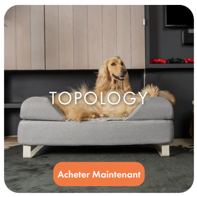 Topology Memory Foam Dog Bed