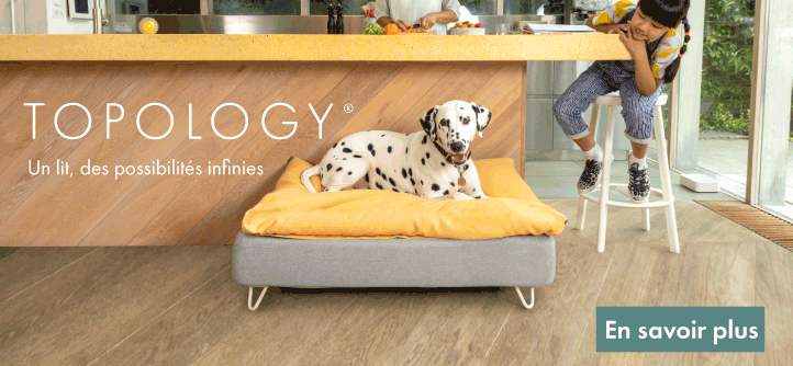 Niches, Lits, Colliers et Laisses pour chiens