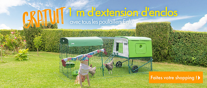 Grand Enclos Pour Poules Poulaillers Grand Enclos Filet à Poules