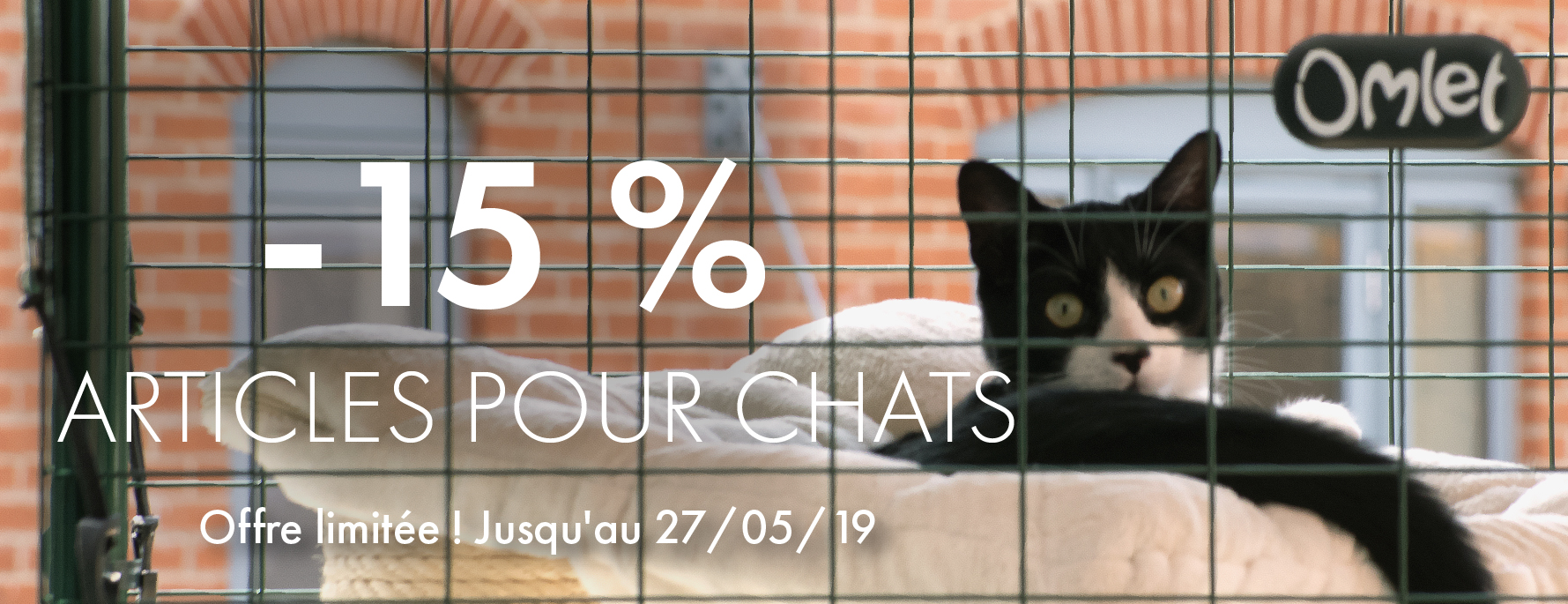 15% OFF Cat Products