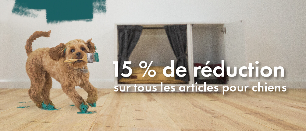 15% OFF All Dog Products