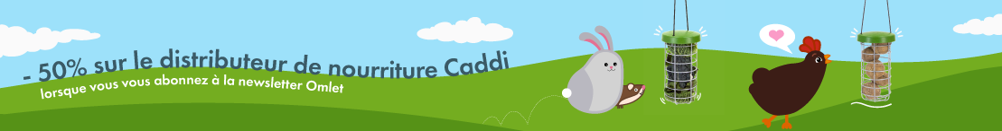 UK_50_Off_Caddi_Newsletter_sign-up_V02_Misc_Banner_Desktop.png