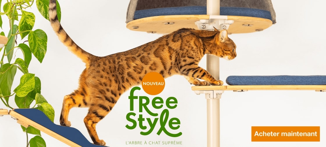 Chat grimpant sur le pont de l'arbre à chat d'intérieur.