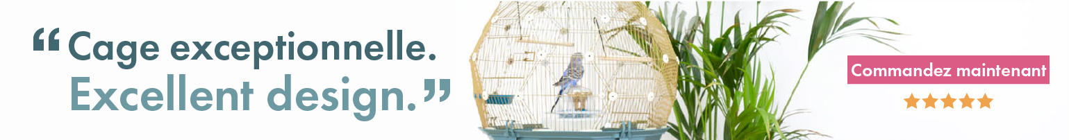 Geo Bird Cage