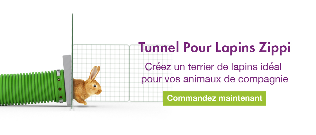 Zippi Rabbit Tunnel System Banner