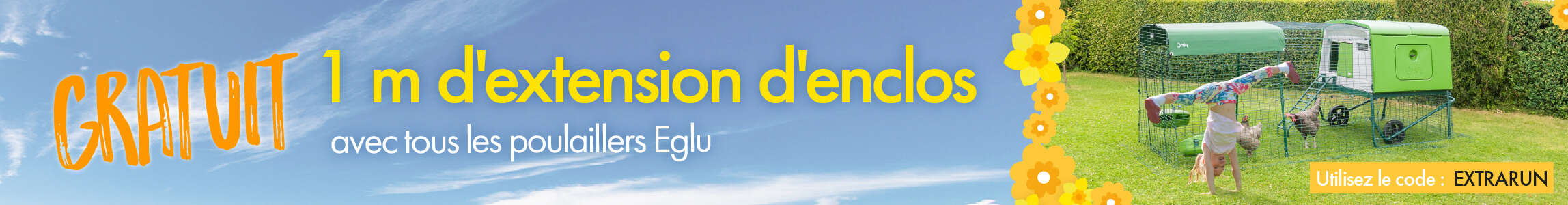 Ses Poulaillers En Kit Font Un Tabac