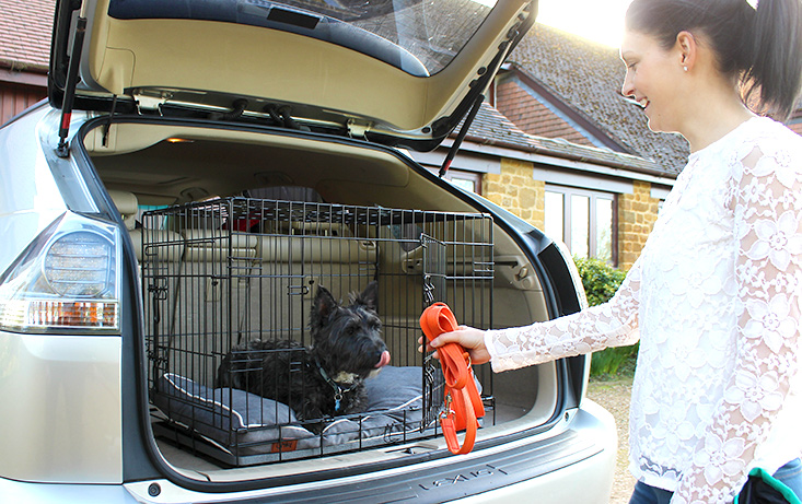Cage de transport pour chiens Omlet Fido Classic