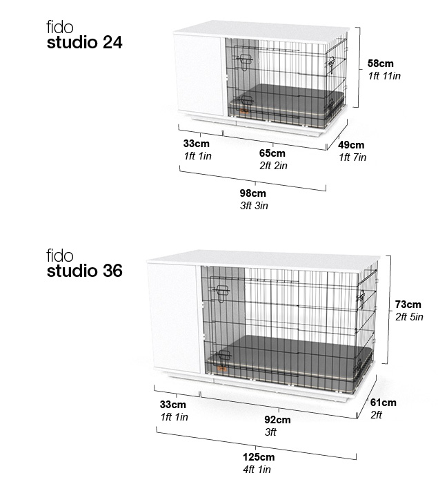 Fido_Studio_24_et_36_dimensions