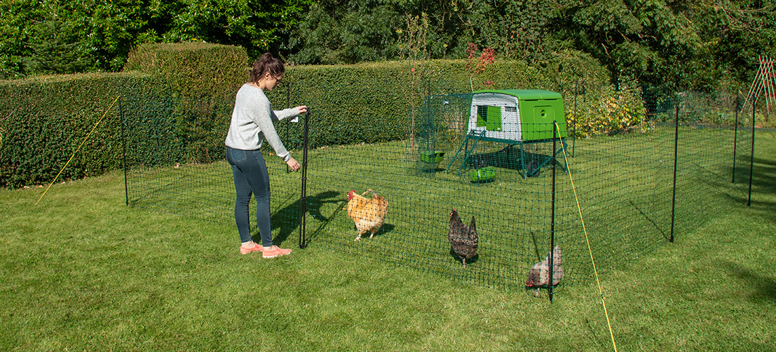 Clôtures pour poules, Filet à poules