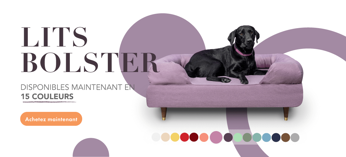 Lit Bolster pour chien en mousse à mémoire de forme