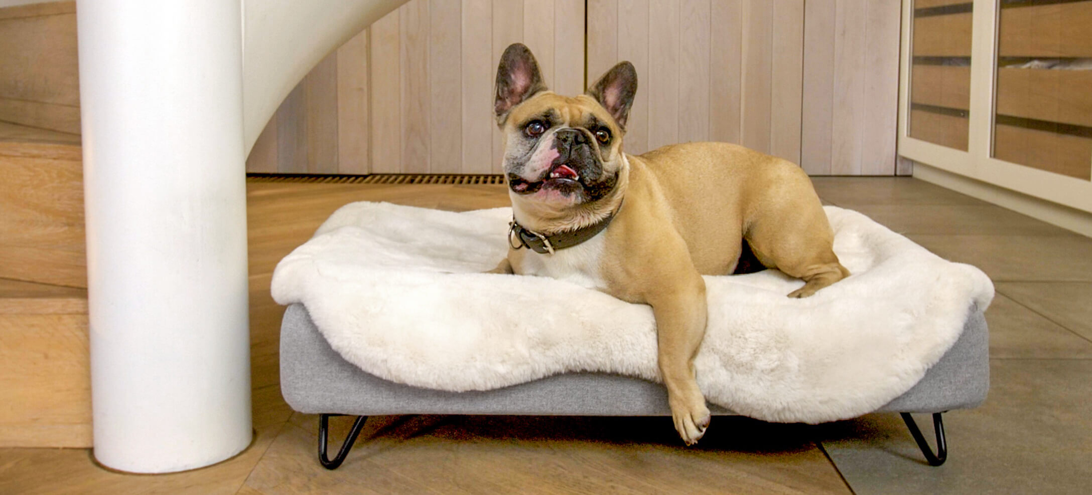 Ce Bouledogue français adore son panier pour chien Topology d’Omlet et son surmatelas en fausse peau de mouton