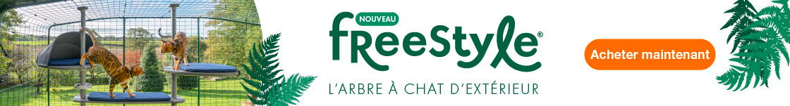 Deux chats roux qui jouent sur l’arbre à chat d’extérieur Freestyle d’Omlet