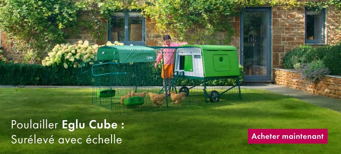 Omlet Eglu Cube