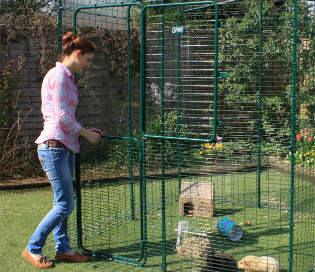 femme qui ouvre la grande porte de l’enclos d’extérieur pour cochons d’Inde