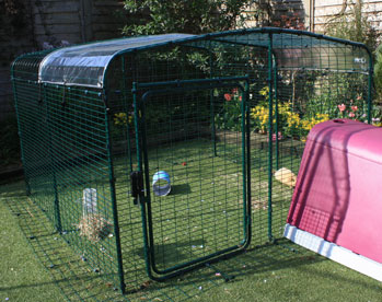 Une bâche transparente posée sur le toît de l'enclos gardera vos Cochons d'Inde au sec tout en laissant passer les rayons du soleil.