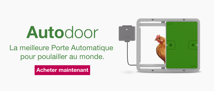 Porte Automatique pour poulailler universelle