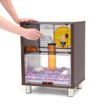 cage-qute-omlet