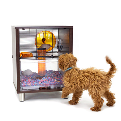 cage-a-hamster-comptemporaine