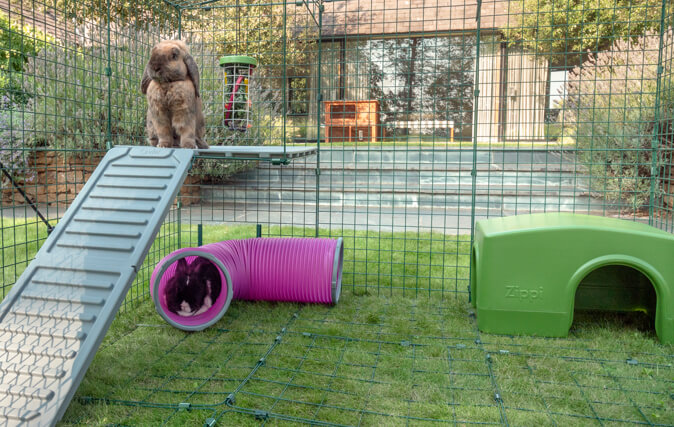 Vos lapins se sentiront en sûreté en hauteur et à l’abri sous les plateformes