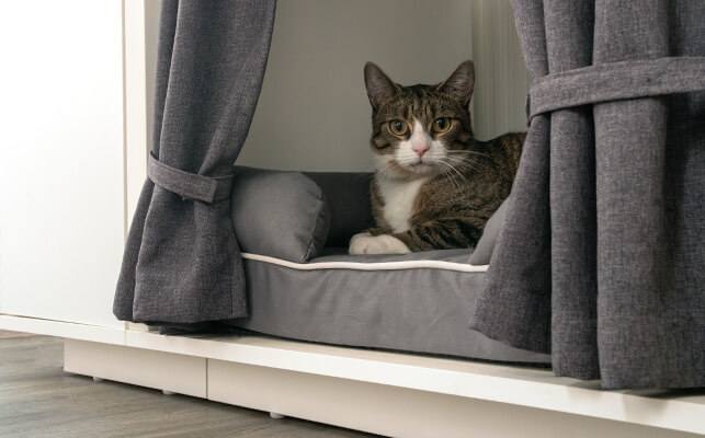 A cat laying on the cat bed inside the Maya Nook cat house