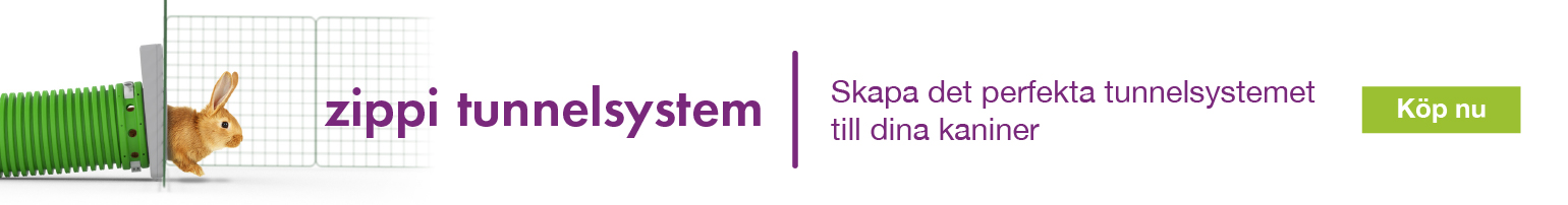 Pourquoi Mon Chat Ne Miaule Pas Omlet Blog France