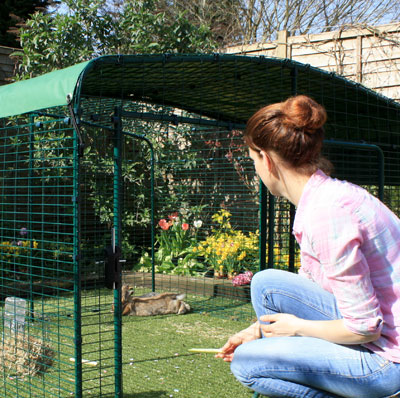 Le Grand Enclos pour lapin en version basse est équipé d'une grande porte qui facilite l'accès à vos lapins. 