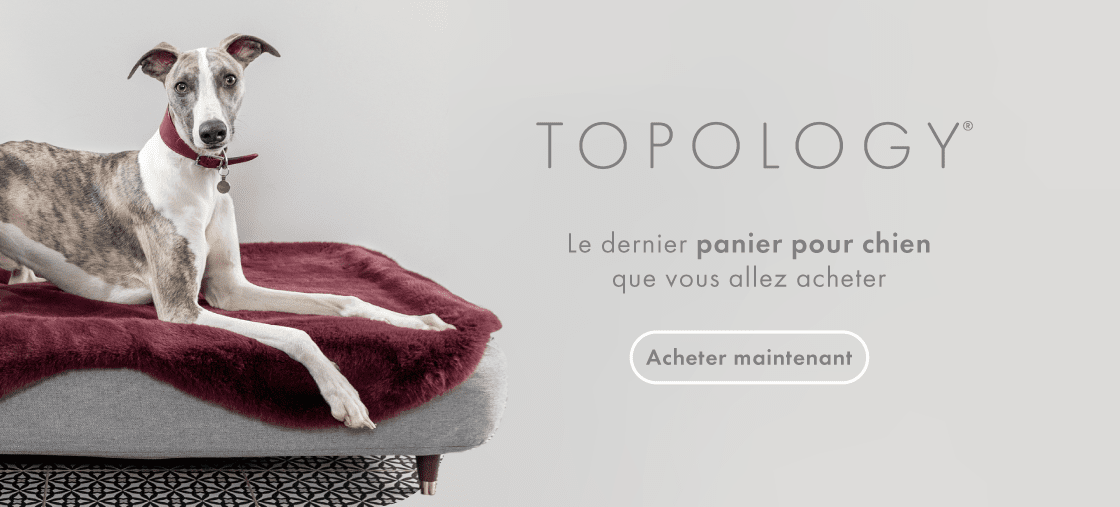 Omlet Topology Lux ury dog bed