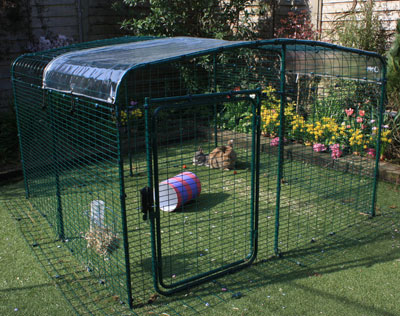 Une bâche transparente posée sur le toît de l'enclos gardera vos lapins au sec tout en laissant passer les rayons du soleil.