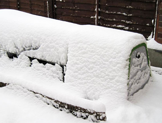 Le poulailler Eglu Go recouvert de neige.