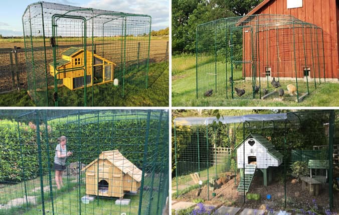 des poulaillers en bois reliés à un grand enclos omlet