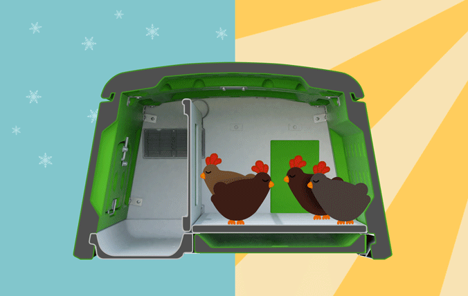 Idéal par tous les temps, maintient les poules au chaud en hiver et au frais en été.