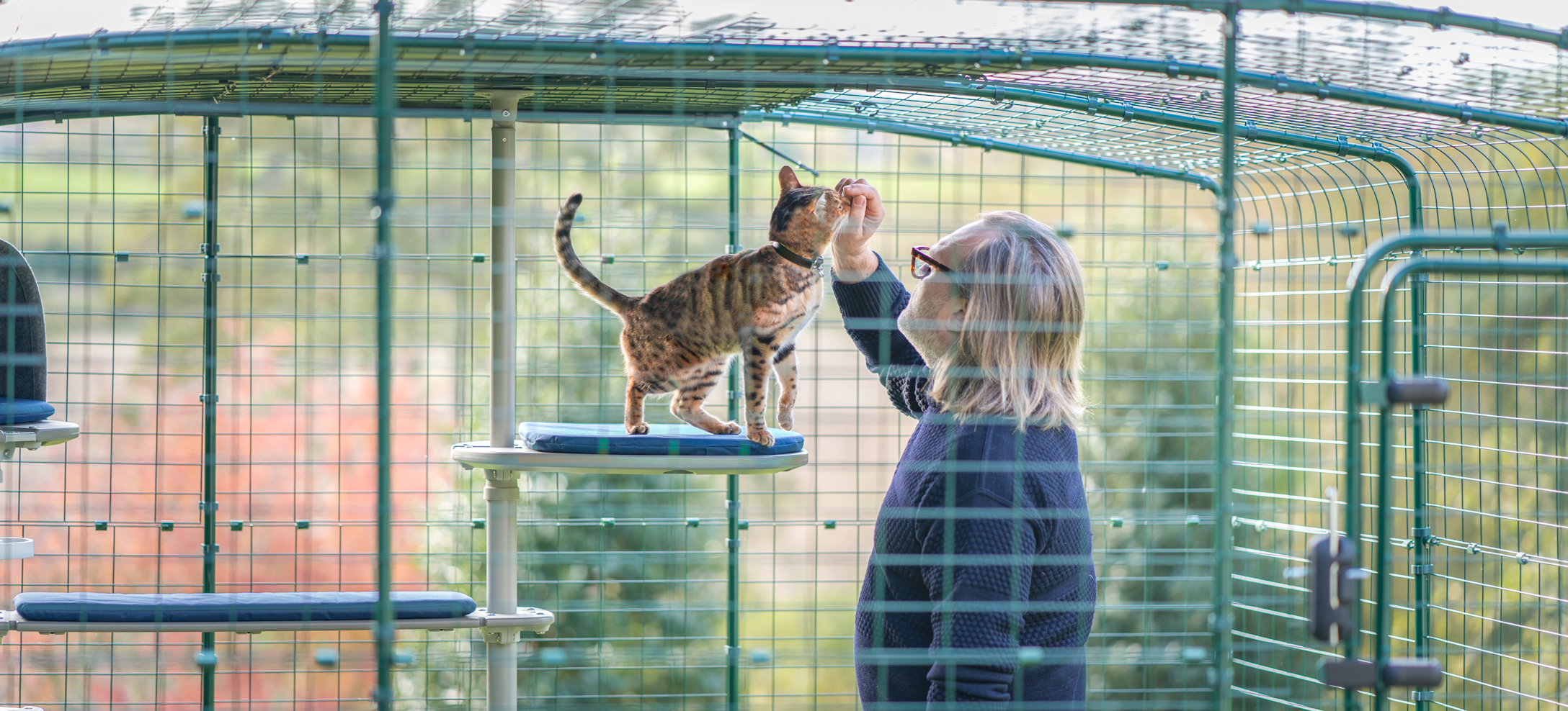 Homme qui caresse un chat sur un arbre à chat d’extérieur Freestyle à l’intérieur d’un enclos pour chat Omlet