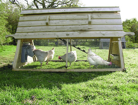 The Boughton chicken coop on grass.